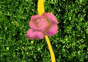 Creation of Adorning the Topiary: Step 15
